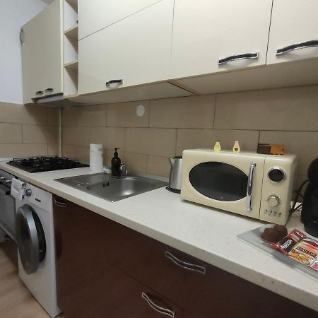 Vania Studio Apartment Sibiu Exterior photo