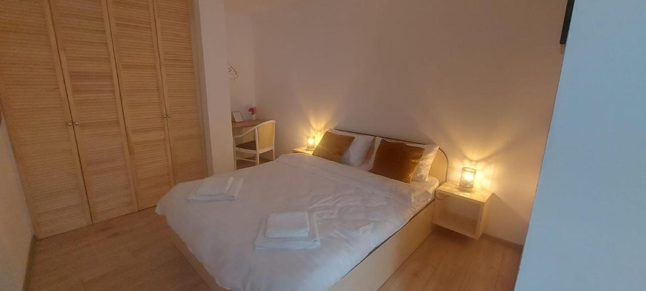Vania Studio Apartment Sibiu Exterior photo