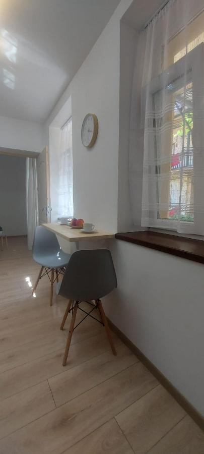 Vania Studio Apartment Sibiu Exterior photo