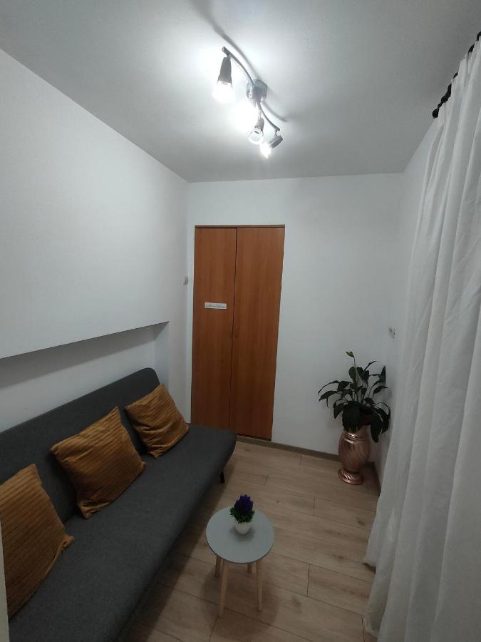 Vania Studio Apartment Sibiu Exterior photo