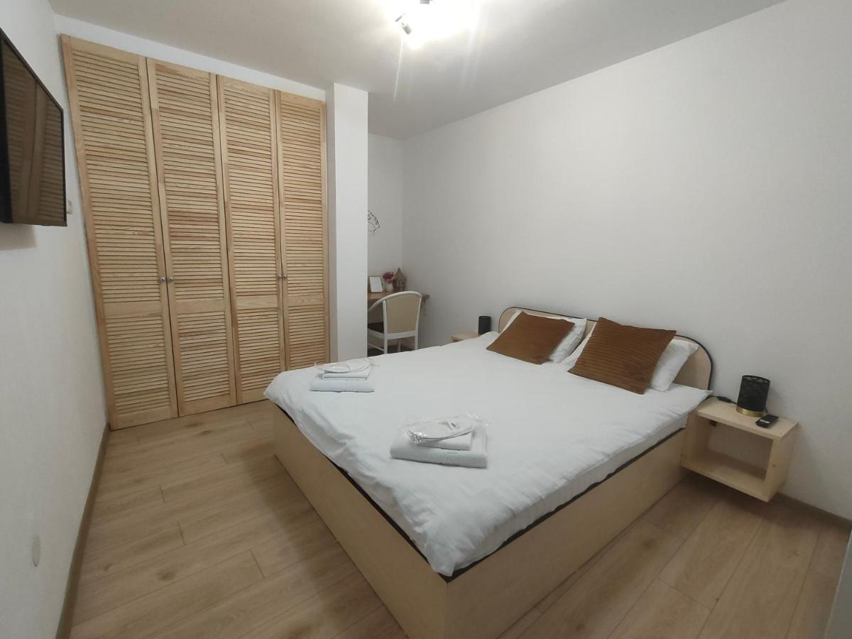 Vania Studio Apartment Sibiu Exterior photo
